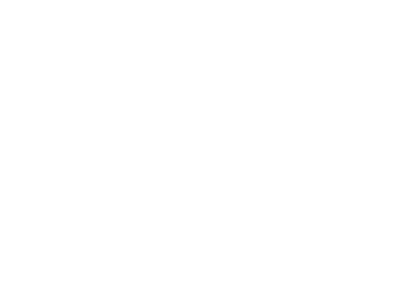 Rhythm of the Dance